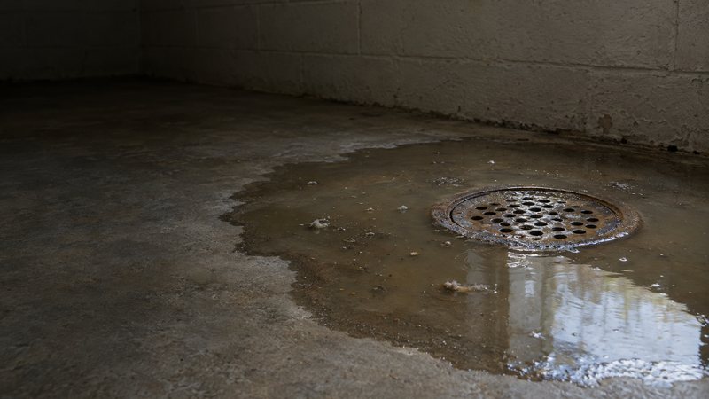 Dirty water backing up through a basement floor drain
